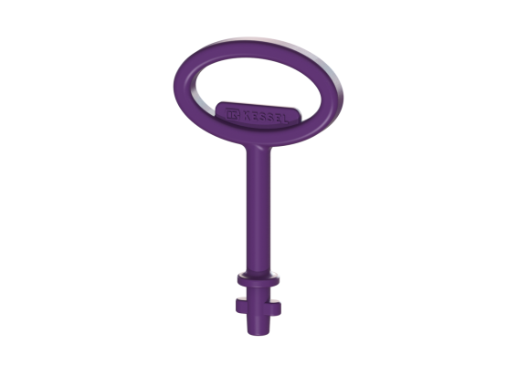 Kluczyk ryglujący do rusztów z Ecoguss Kessel 67007