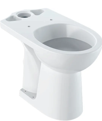 Geberit Selnova Comfort Stojąca Miska Wc Do Spłuczki Nasadzanej, Lejowa, B36Cm, H46Cm, T67Cm, Podwyższona, Odpływ Poziomy 500.284.01.5