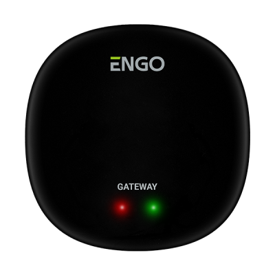 Bramka internetowa ZigBee do urządzeń serii ENGO Smart